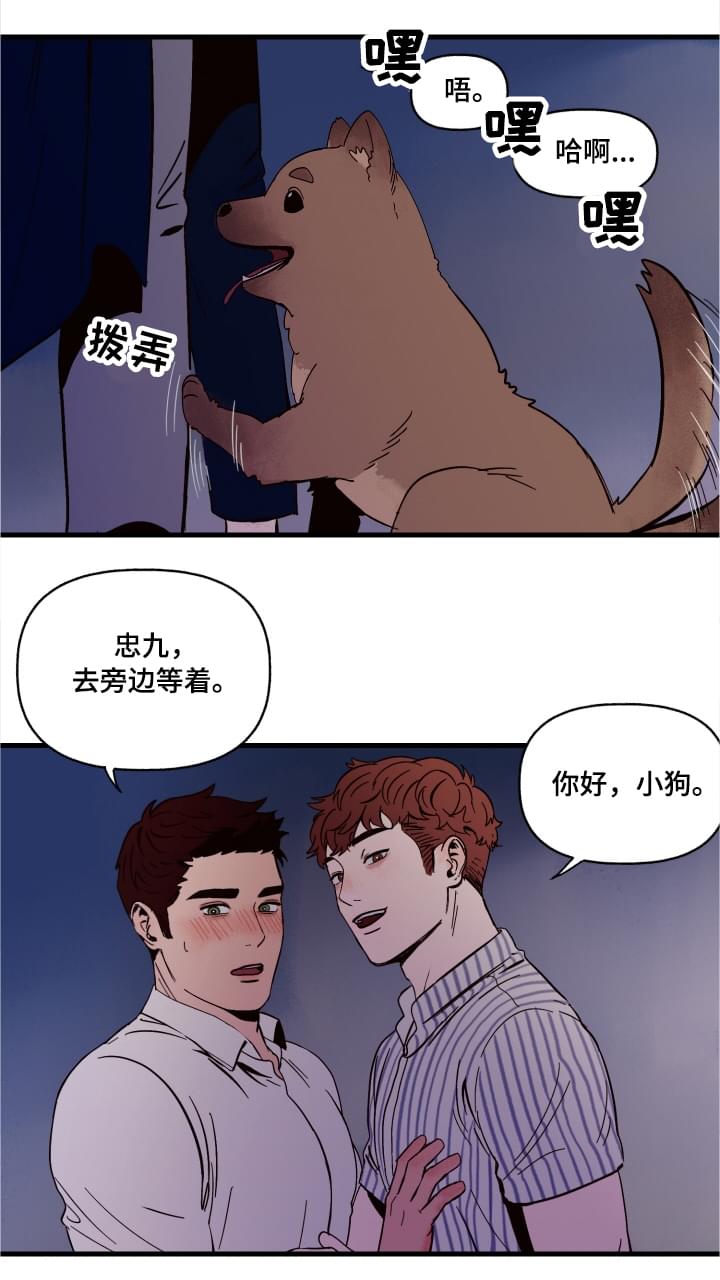 爱宠攻略漫画,第1章：袭击3图