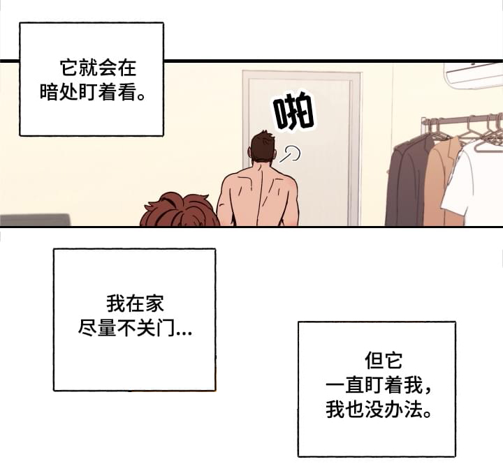 爱宠攻略漫画,第1章：袭击5图