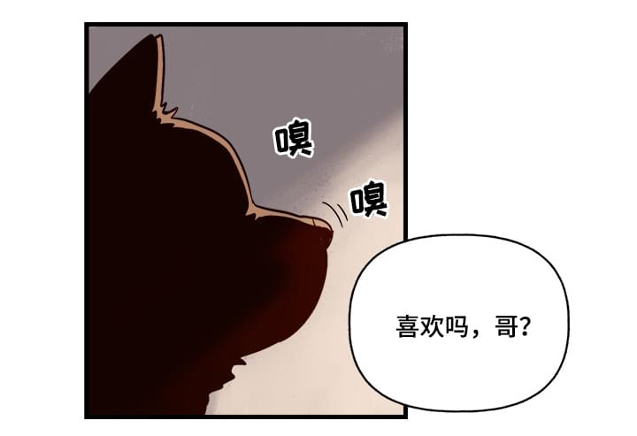 爱宠大机密兔子壁纸漫画,第1章：袭击1图