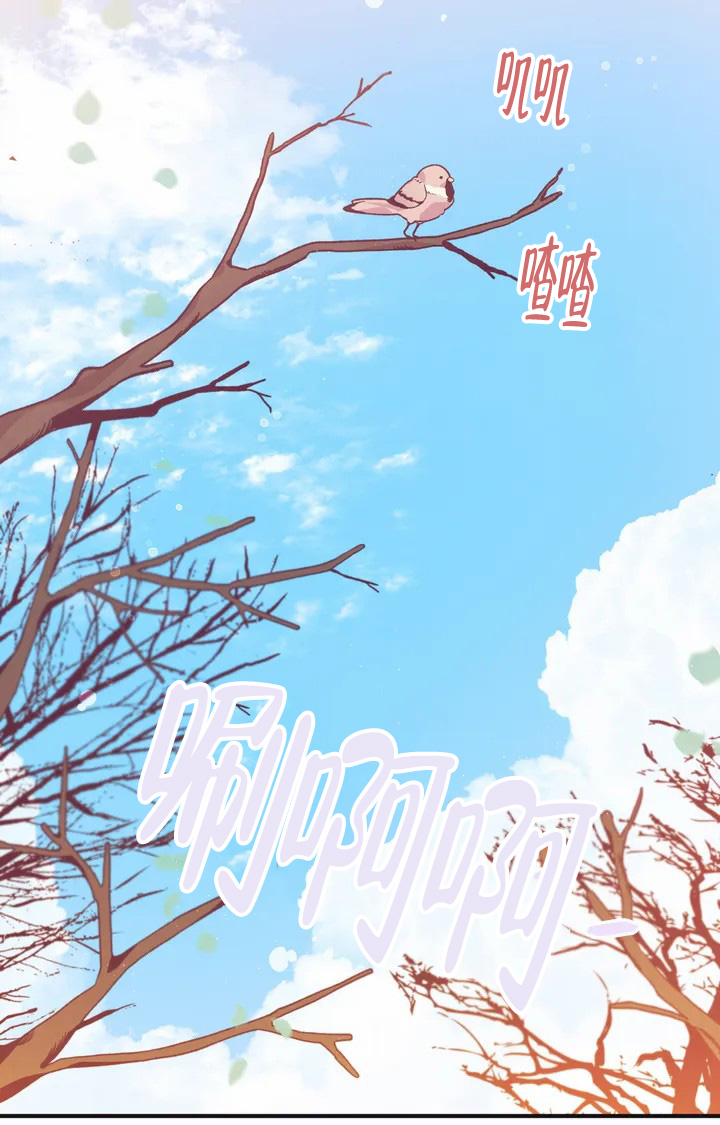 童话兔子先生漫画,第1话3图