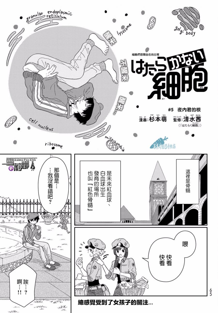 第5话细胞们悠闲自在的日常0