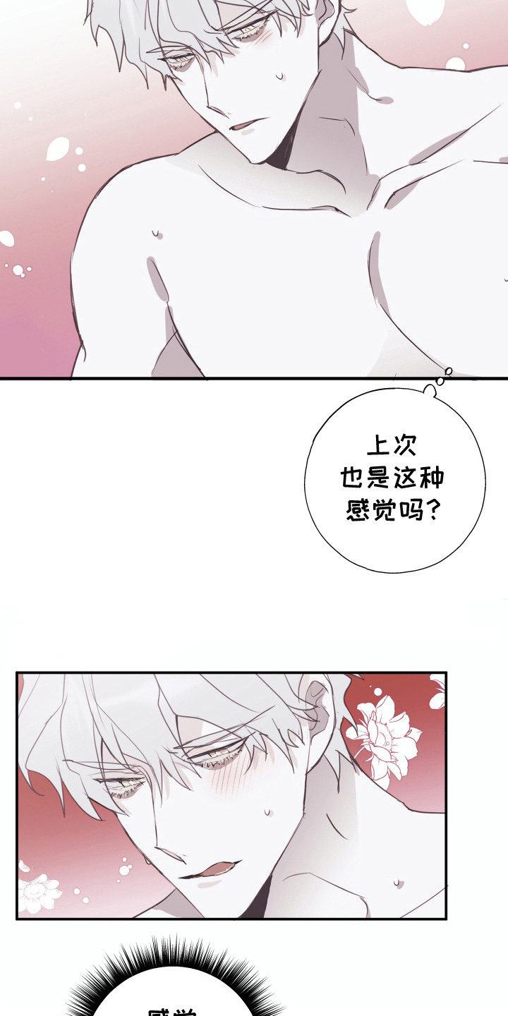 将错就错红刺北笔趣阁漫画,第5话4图