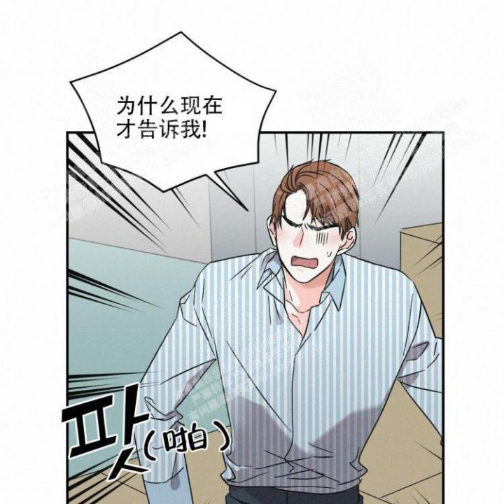 罗曼史是别册附录韩剧tv在线观看漫画,第9话2图