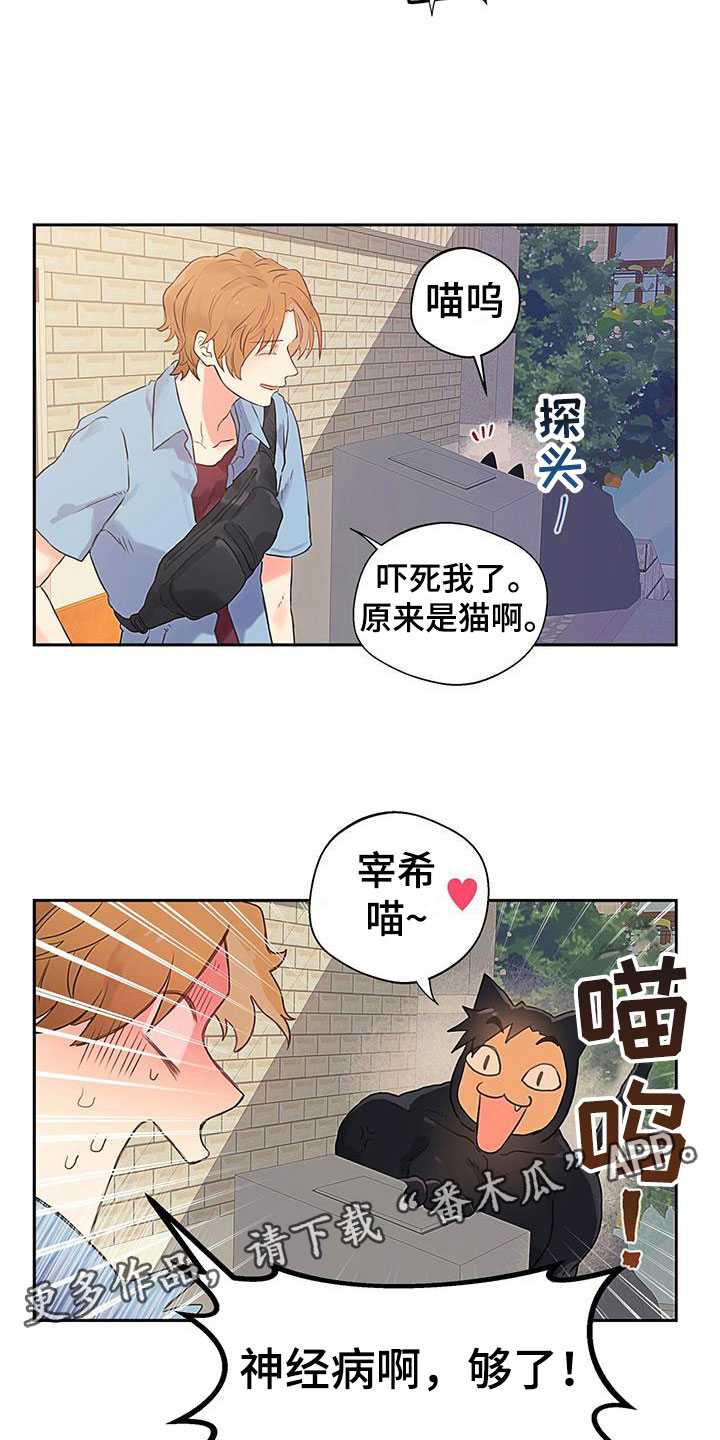 警官别跑漫画,第4话4图