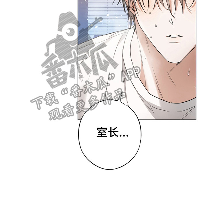 我是实习生蔡徐坤漫画,第5话2图