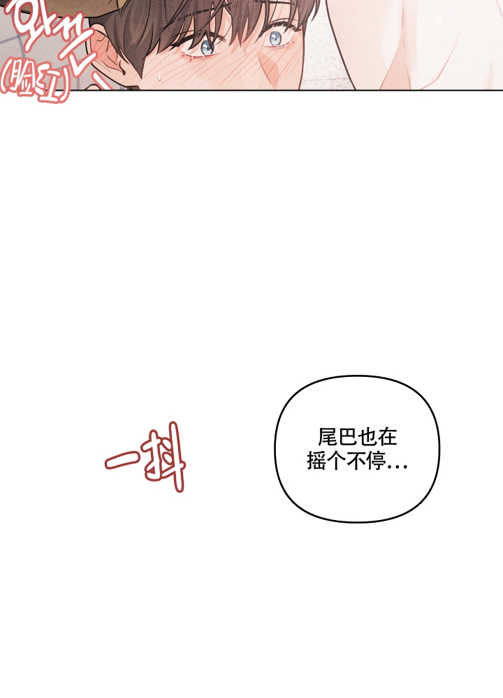 狗狗的恋爱漫画,第1话4图