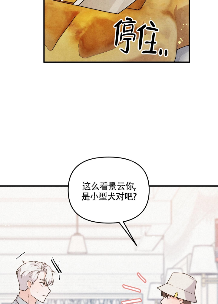 狗狗的恋爱漫画,第4话3图