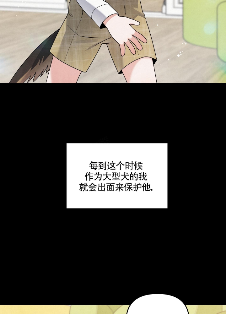 狗狗的衣服怎么做漫画,第8话5图