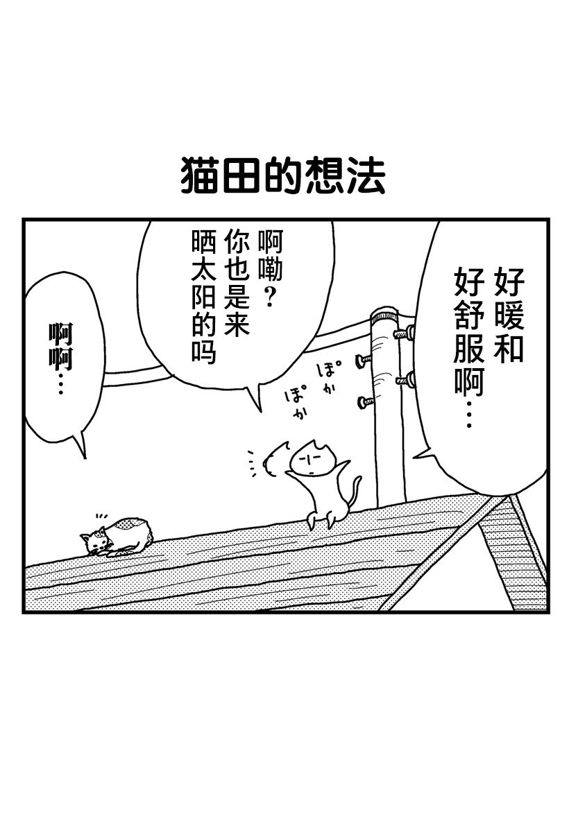 猫田日和漫画,第7话5图