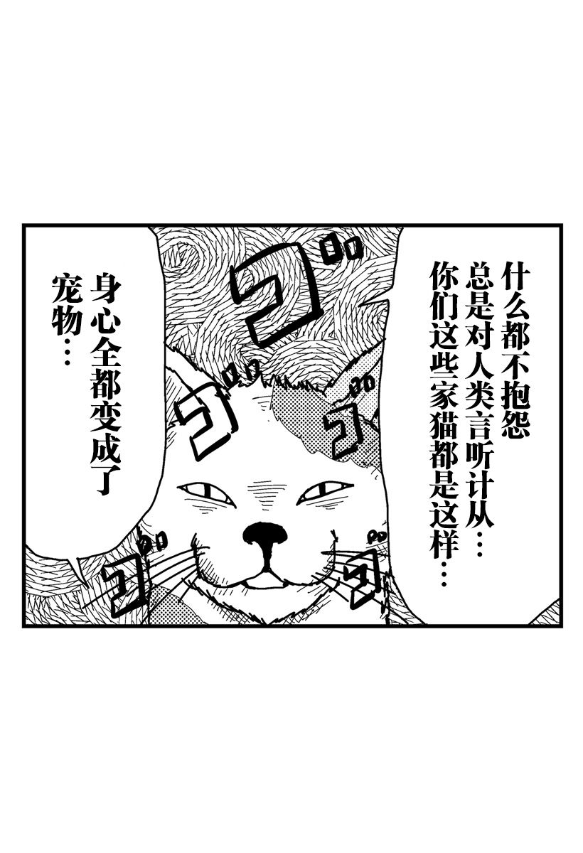 猫田日和漫画,第7话5图