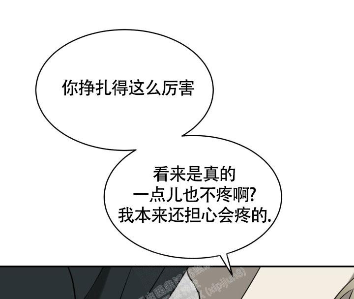 动物园vi漫画,第4话2图