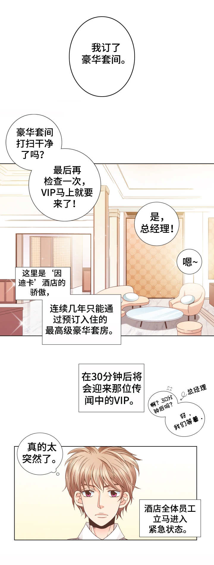 第1章：VIP客人3