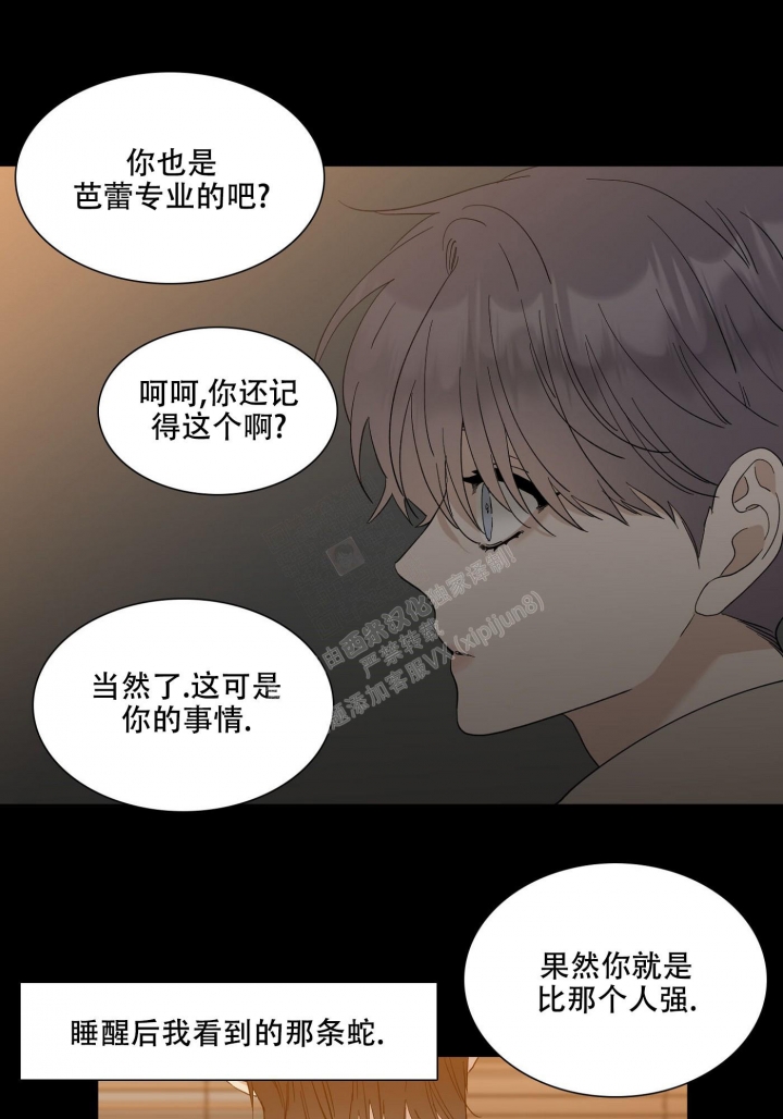 错位关系方糖漫画,第1话4图