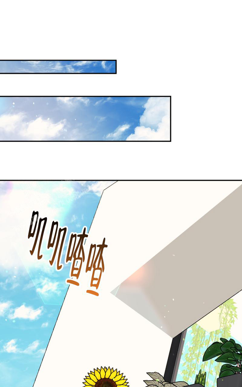 老板的鲜花漫画,第5话1图