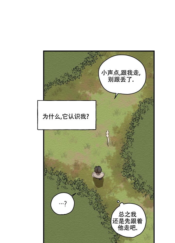 铺满金钟花的路漫画免费漫画,第3话3图