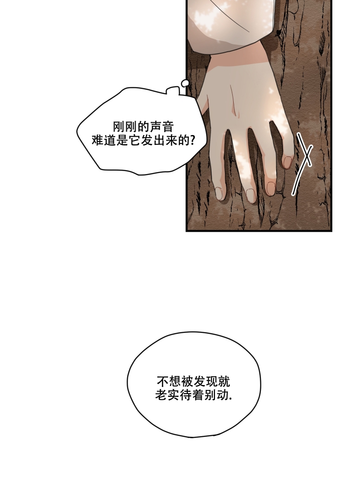 铺满金钟花的路漫画免费漫画,第3话2图