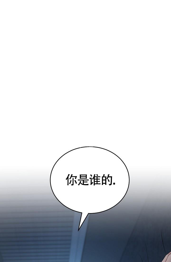 金丝雀驯主日记全文免费完整漫画,第4话2图