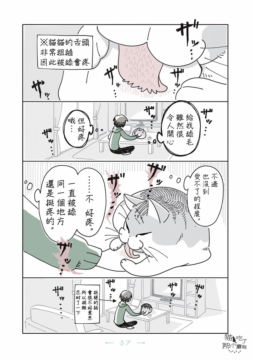 夜夜猫歌漫画,第9话2图