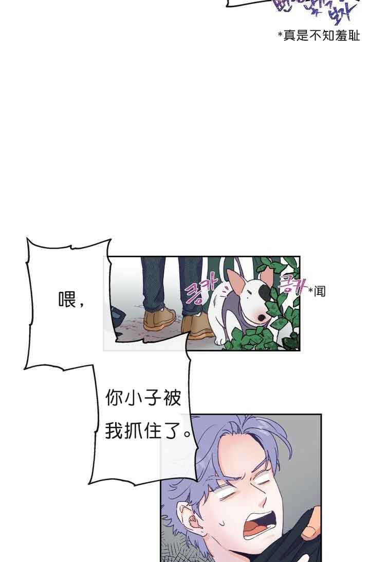 恋与拖拉机少年漫画,第7话5图