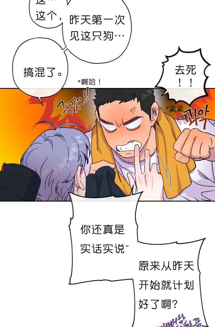 恋与拖拉机少年漫画,第7话4图