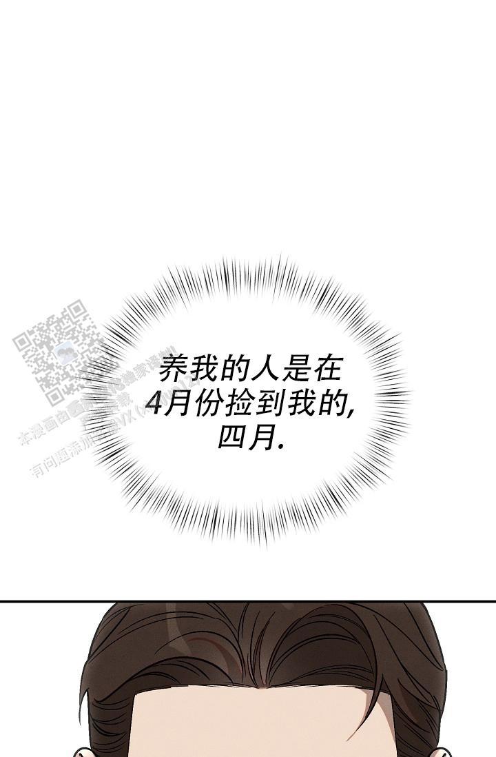 四月的英语单词漫画,第5话5图