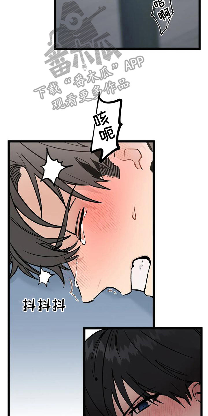 灰黑回响在哪里看漫画,第5话3图