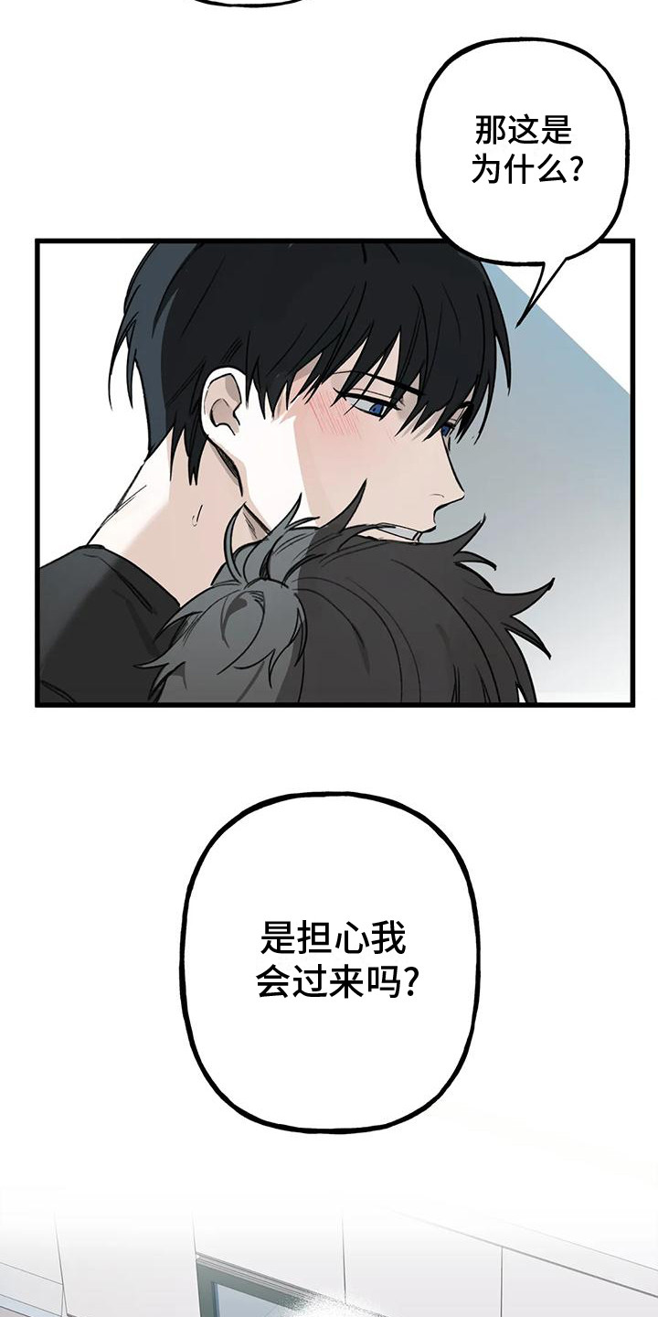 灰黑色猫漫画,第3话2图