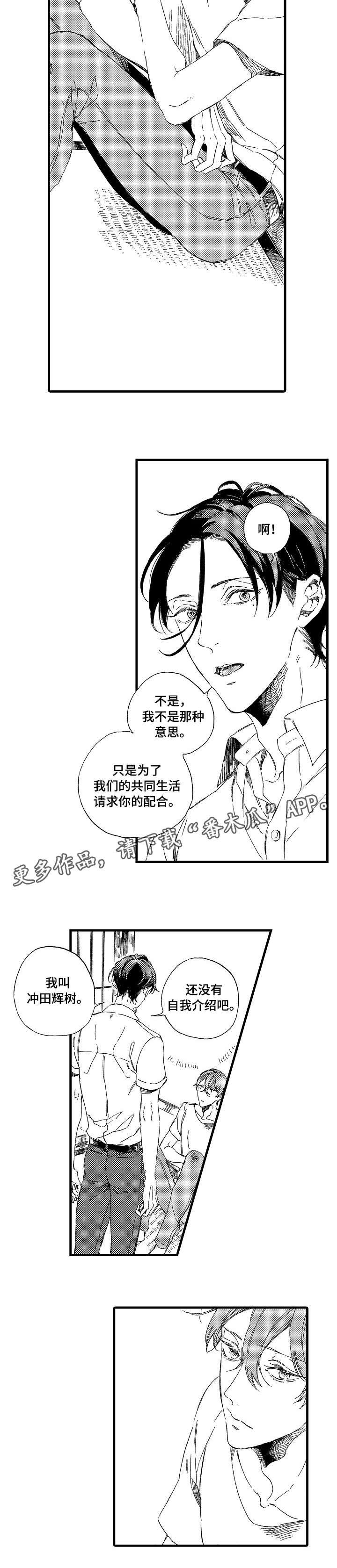 欧米伽小岛漫画,第5章：证据3图