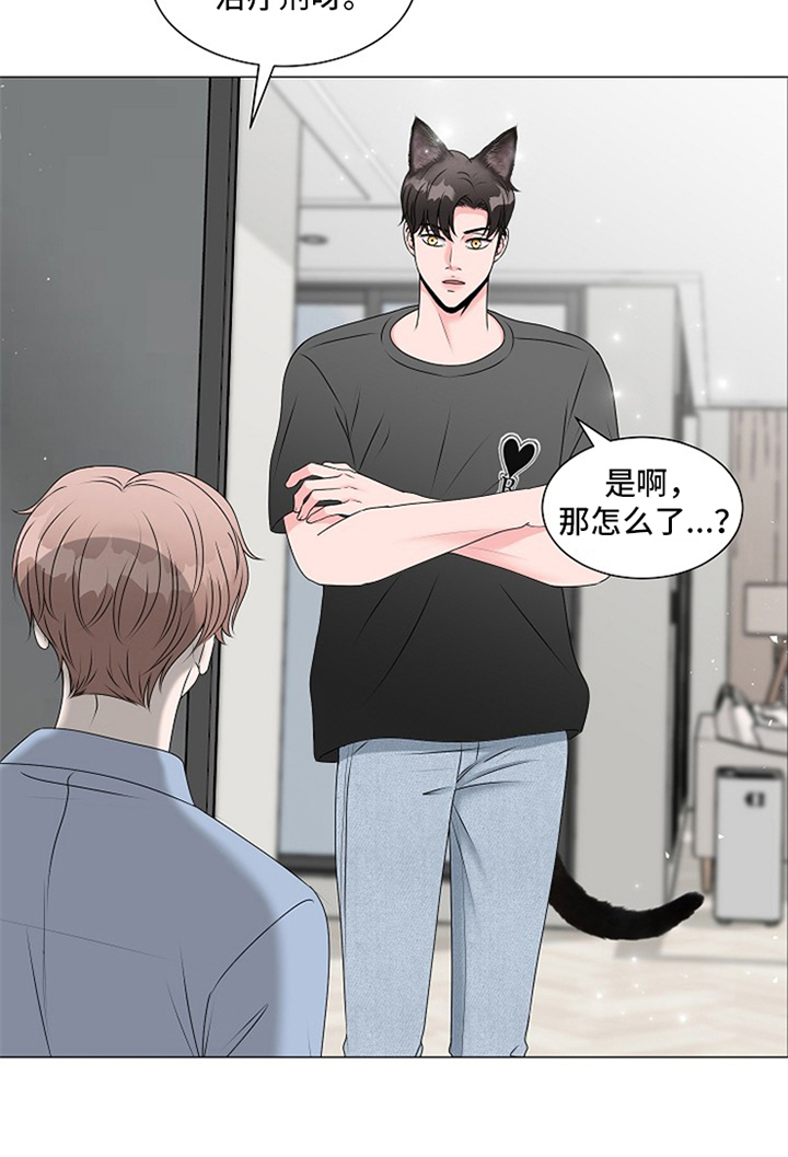 猫猫能听懂的三句话漫画,第3章：慌张5图