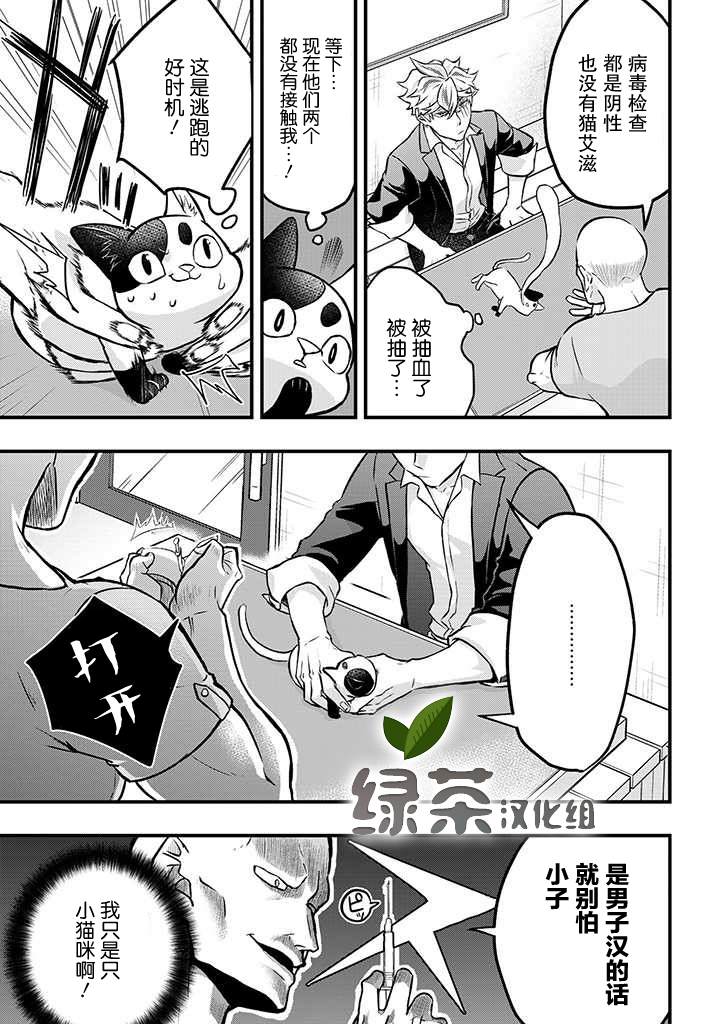 被遗弃的小猫咪与原黑道漫画,第6话1图