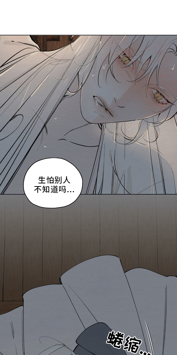 龙魂蛇影漫画小说漫画,第5话1图