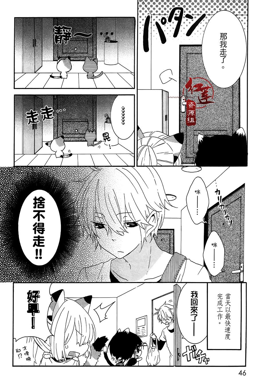 喵居生活漫画,第6话1图