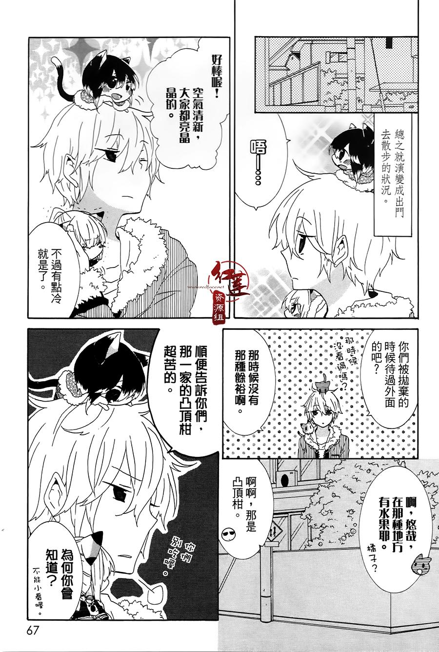 喵居生活漫画,第10话3图