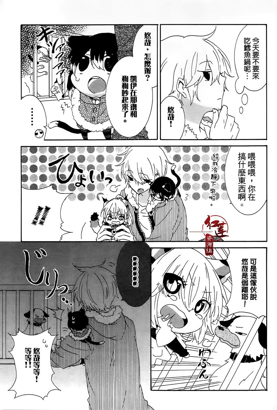 喵居生活漫画,第10话5图