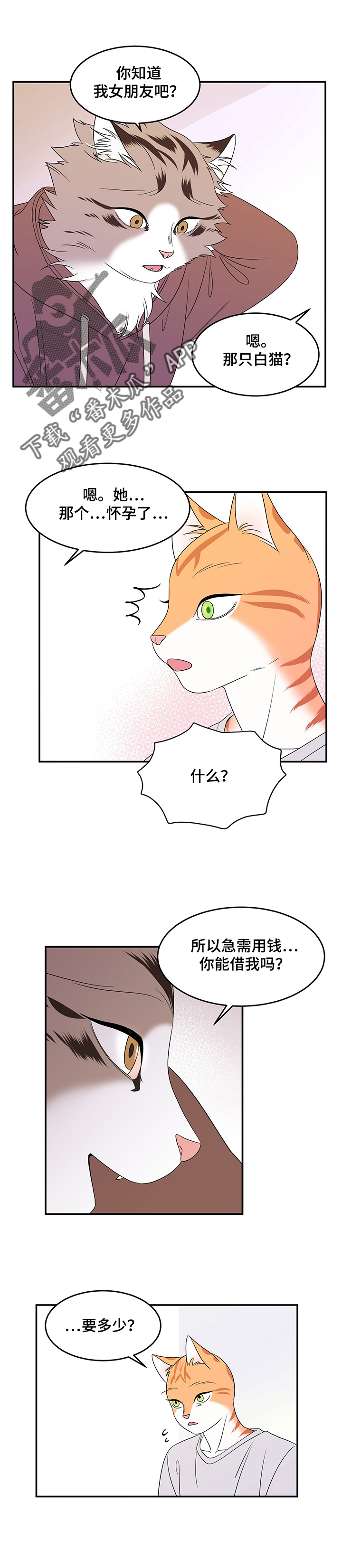 灵猫欧米伽还叫什么漫画,第6章：借钱3图