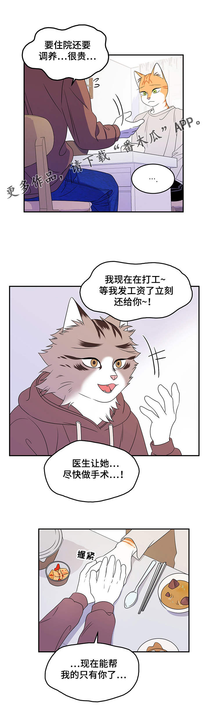 灵猫欧米伽还叫什么漫画,第6章：借钱4图