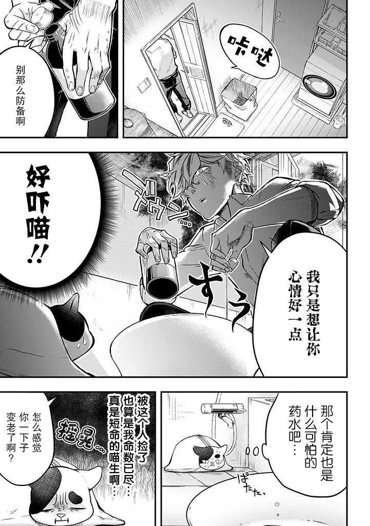 被遗弃的小猫咪与原黑道漫画,第1话1图