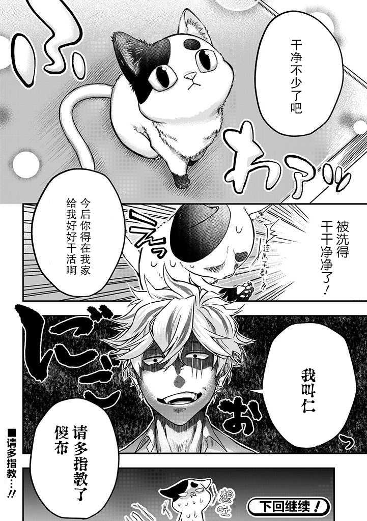 被遗弃的小猫咪与原黑道漫画,第1话4图