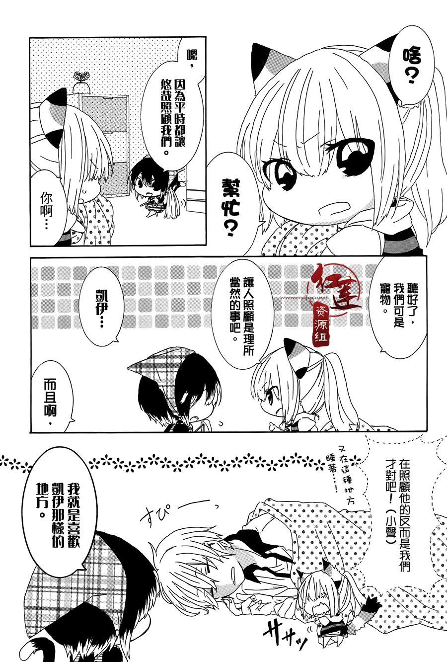 喵居生活漫画,第4话5图