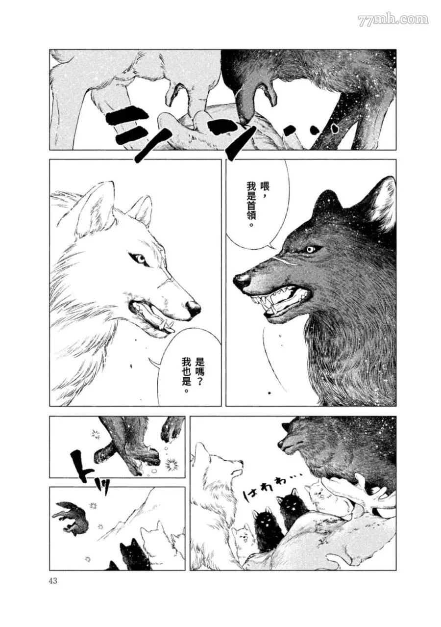 WOLF PACK 狼族漫画,第1卷2图