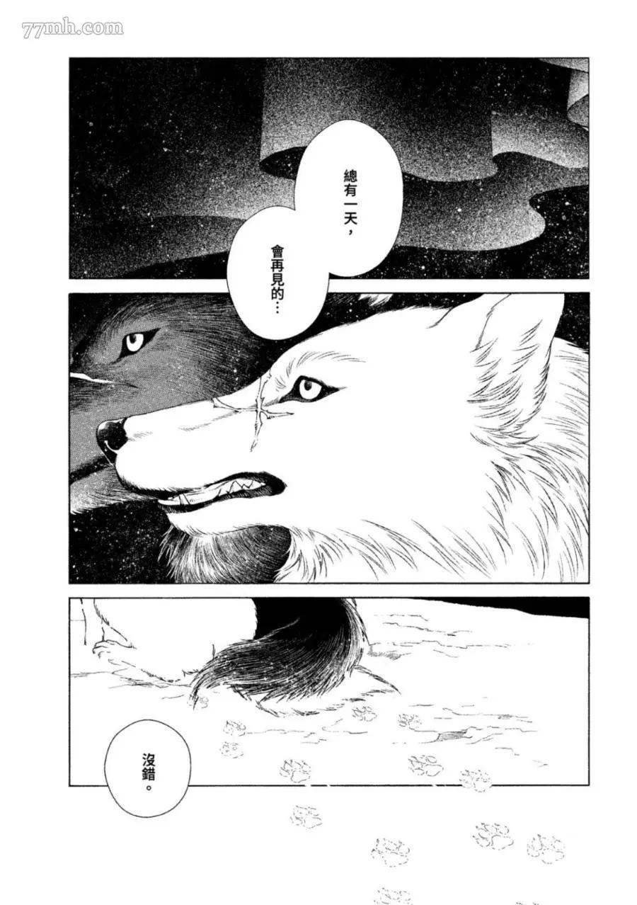 WOLF PACK 狼族漫画,第1卷5图