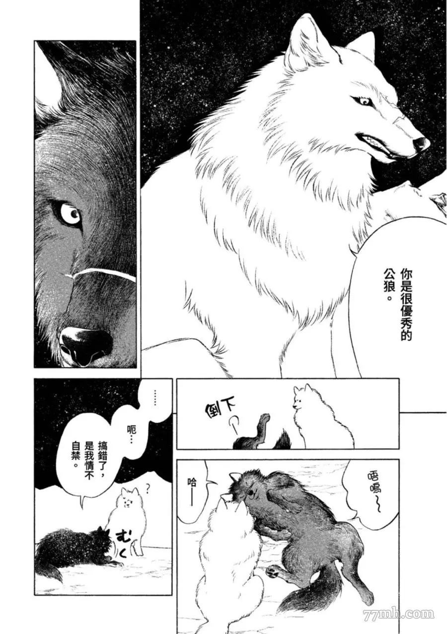 WOLF PACK 狼族漫画,第1卷1图