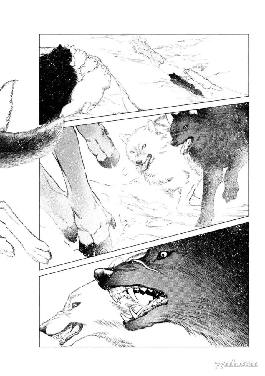 WOLF PACK 狼族漫画,第1卷2图