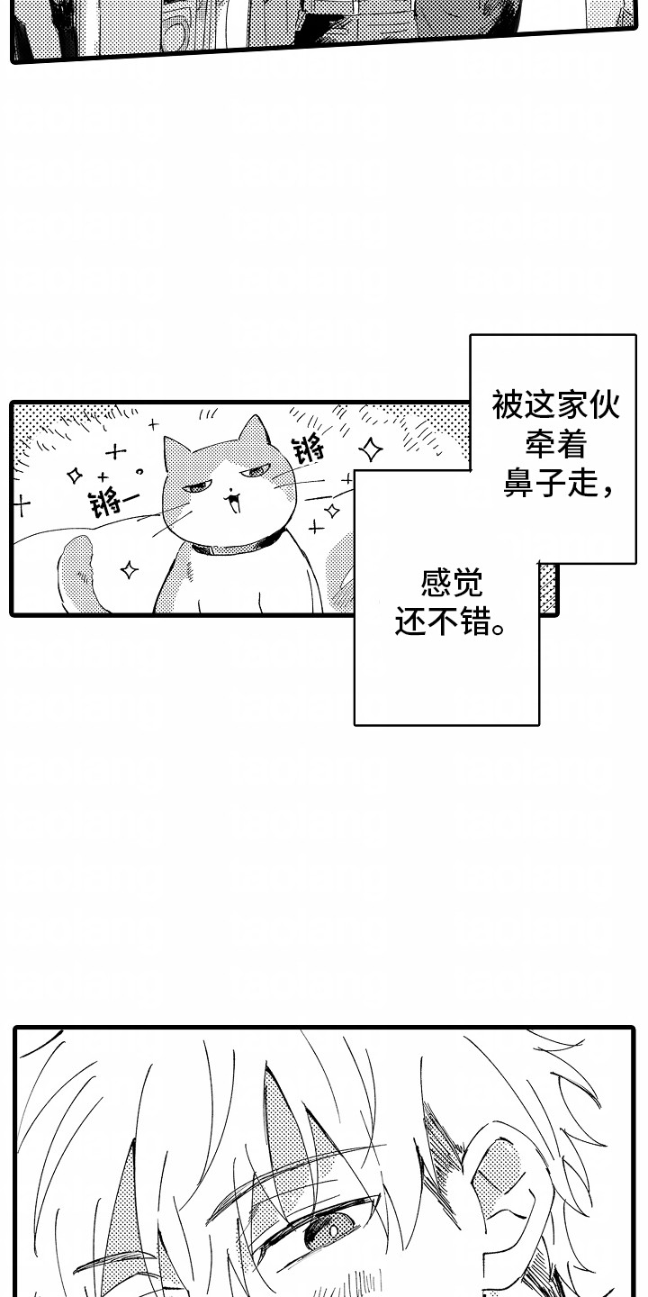 垃圾堆捡到一个女人手提包漫画,第4话2图