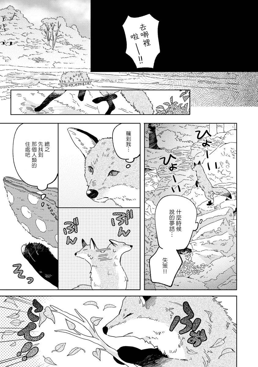 小狐貍老师永不气馁!!!漫画,第1话1图