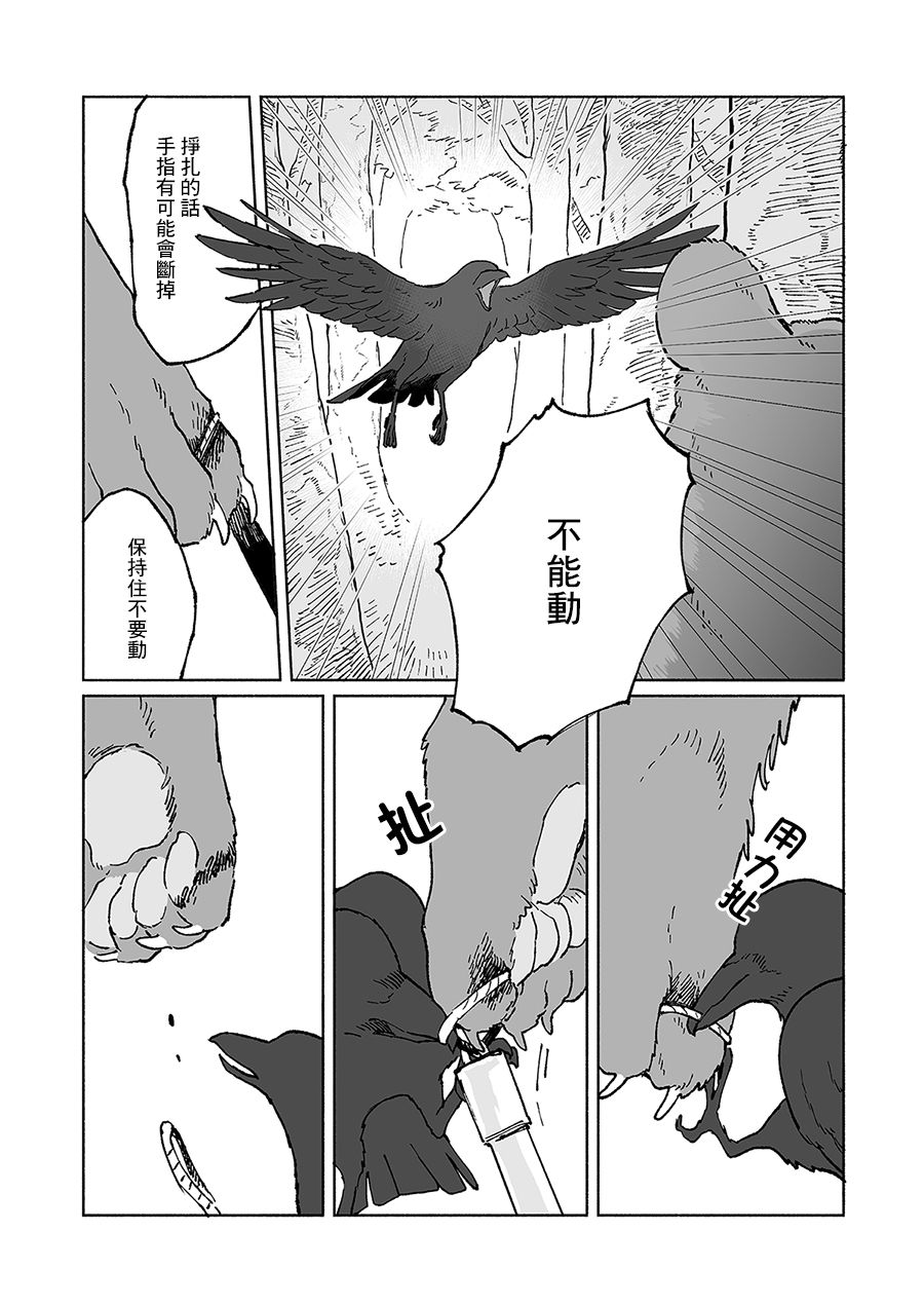 熊与乌鸦漫画,第5话5图