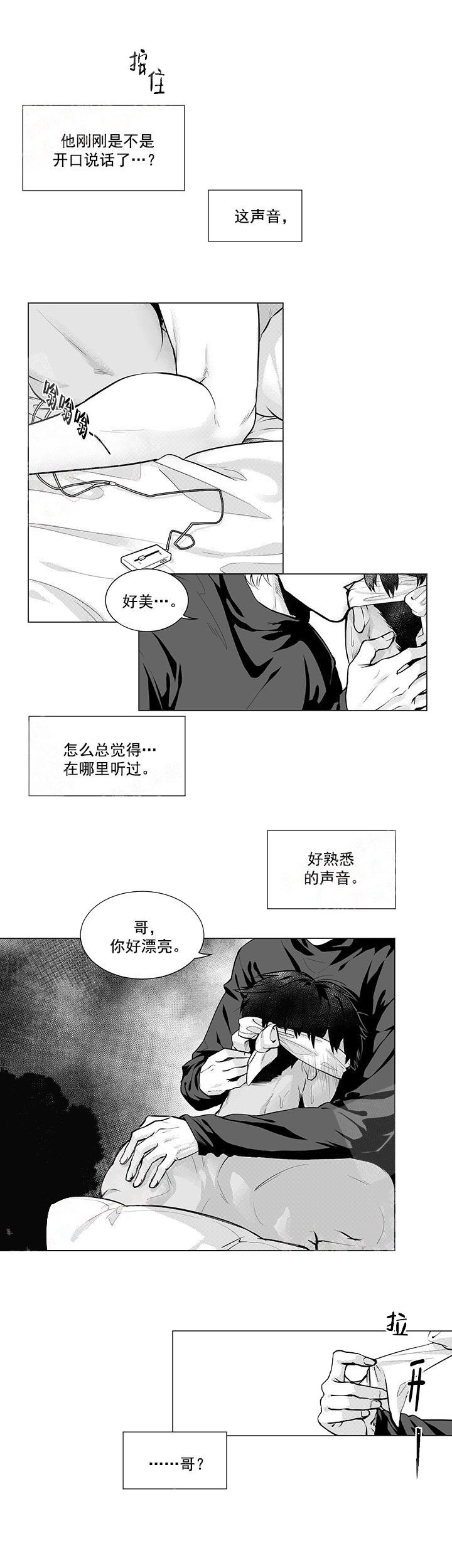 蜜蜂图片漫画,第5话2图