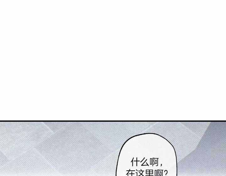 湿毒清胶囊的作用与功效漫画,第6话1图