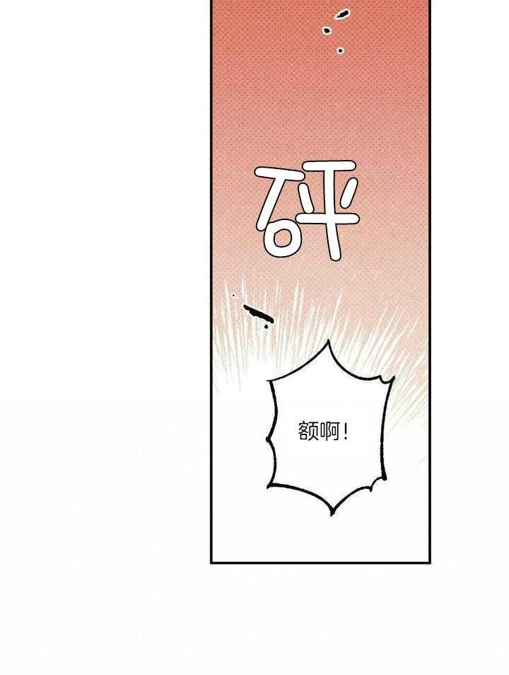 湿沙地种什么蔬菜漫画,第5话2图