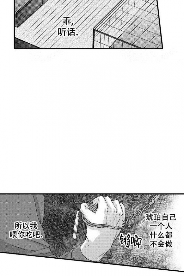 小土狗成长记漫画,第6话1图